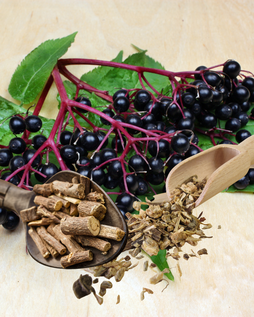 Immunity Igniter Tincture