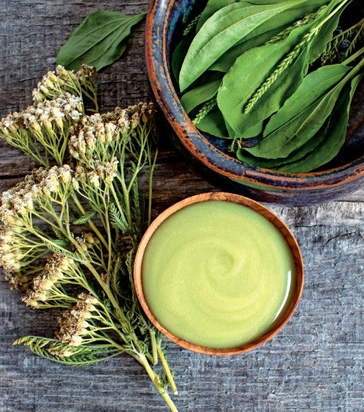 Plantain Yarrow Heel Balm