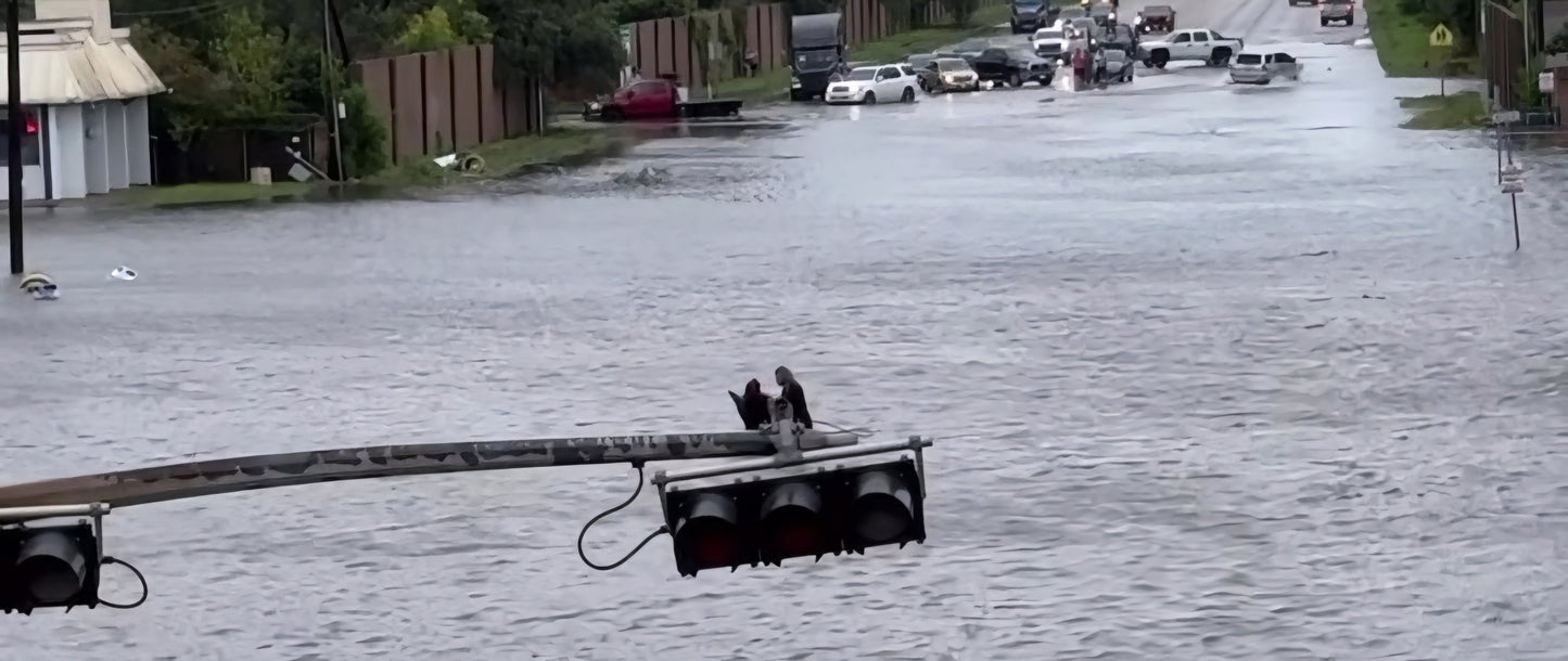 Hurricane Water