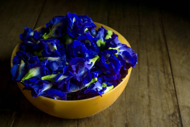 Butterfly Pea Flower Essence
