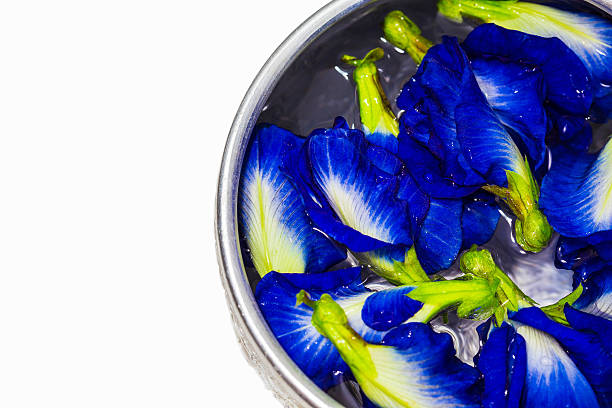 Butterfly Pea Flower Essence