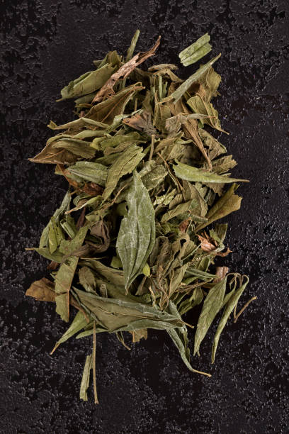 Dream Herb—Calea Zacatechichi tincture