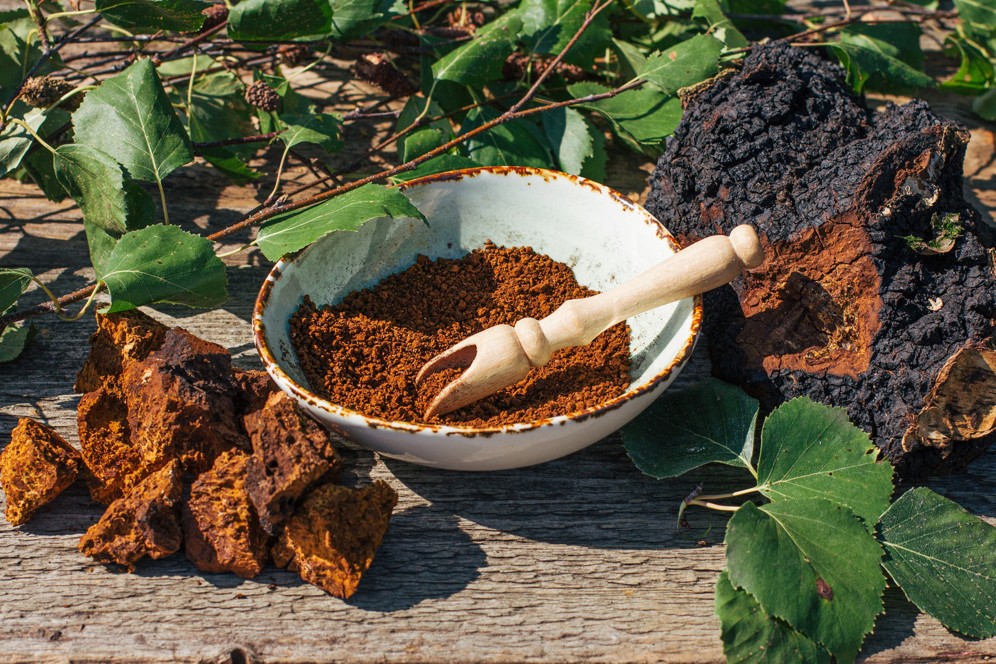 Chaga Mushroom Tincture