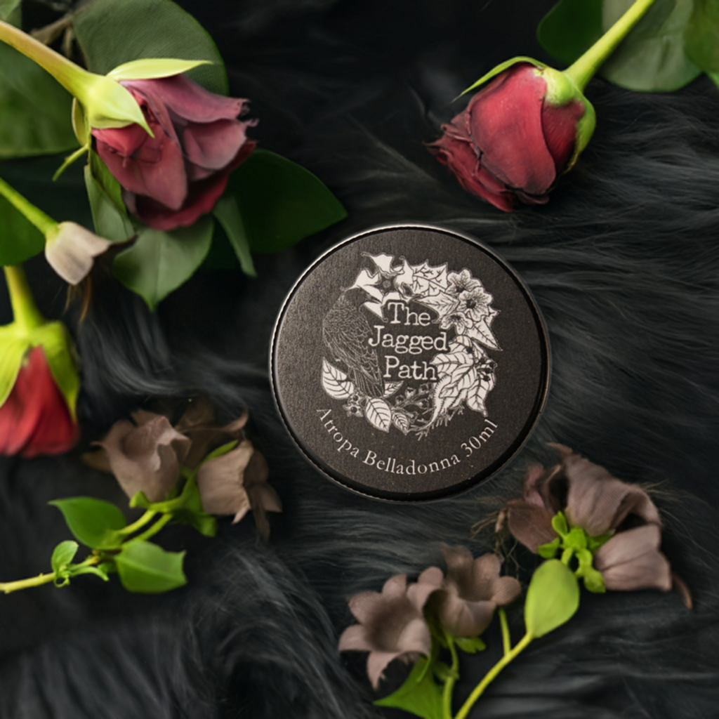 Atropa Belladonna Flying Ointment