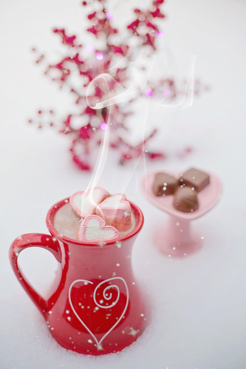 Savory Hot Cocoa
