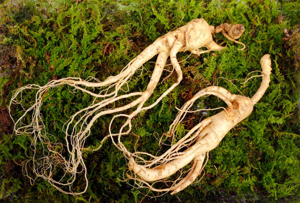 Desiderium Flying Ointment