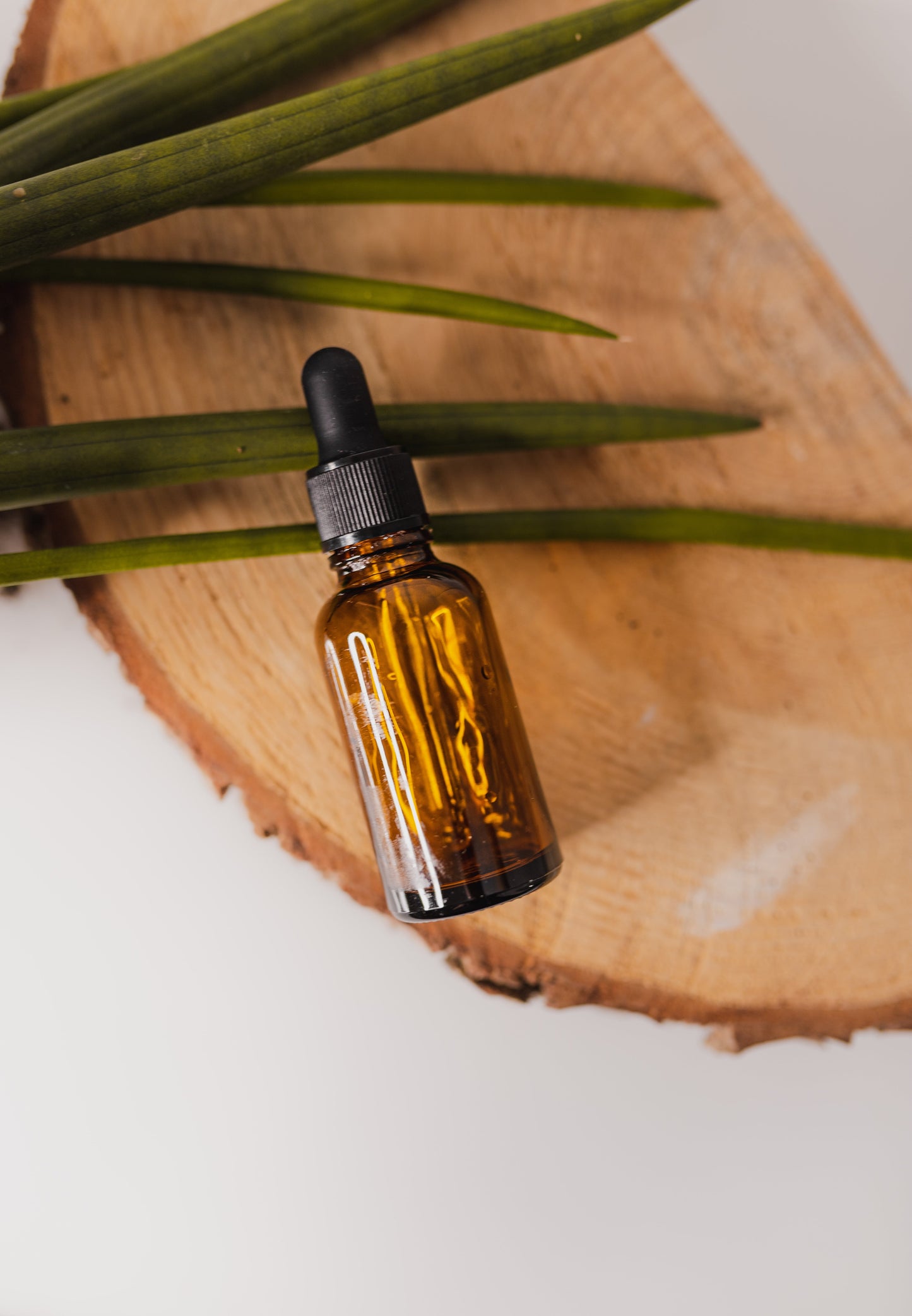 Elderberry Tincture