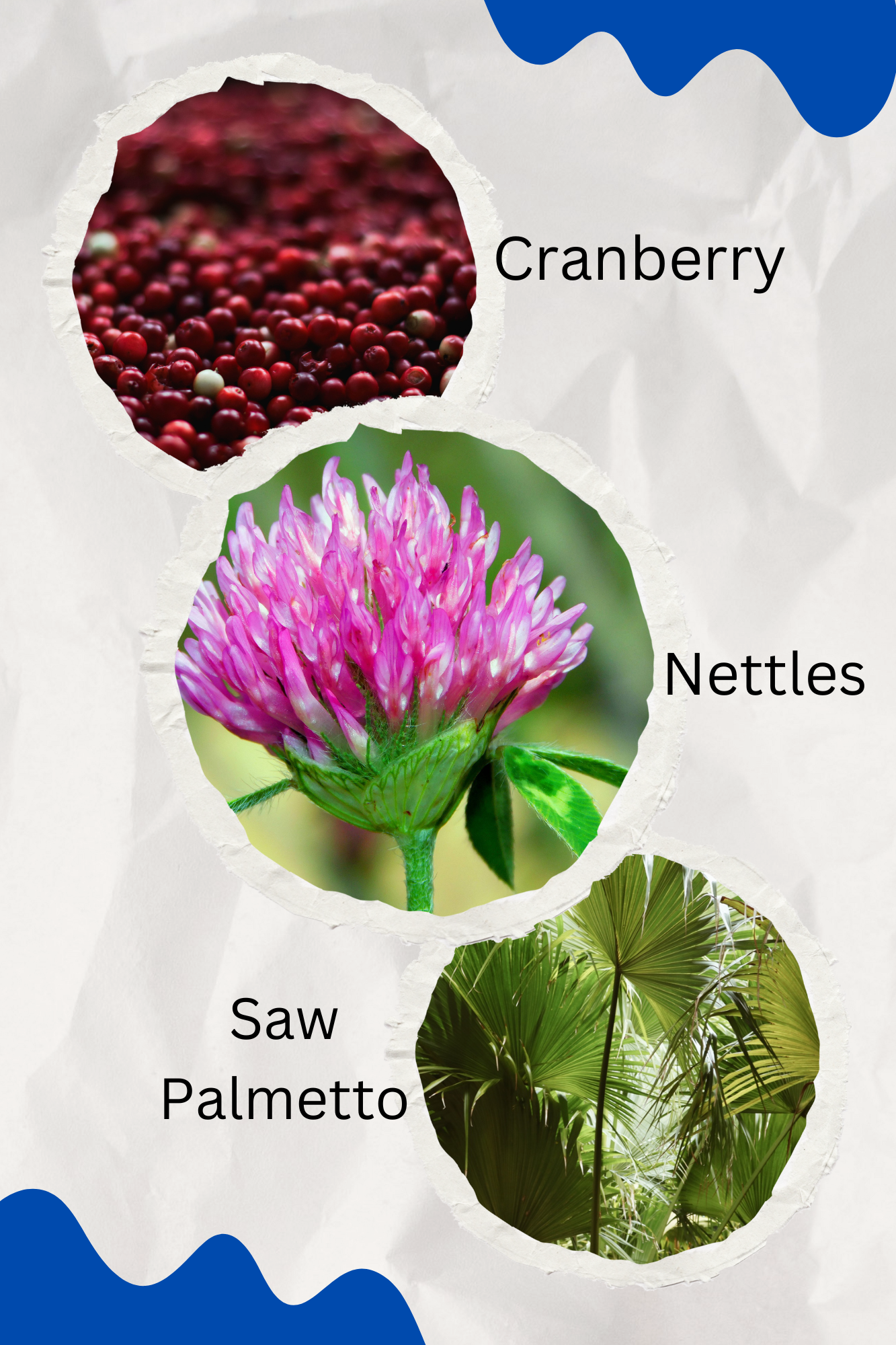 Prostate Health Blend