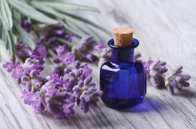 Lavender tincture