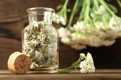 Care Defense Tincture
