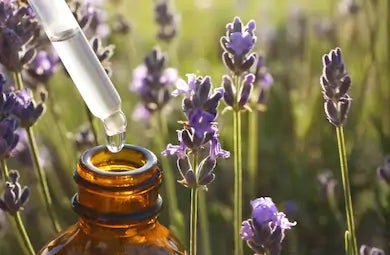Lavender relaxation roller