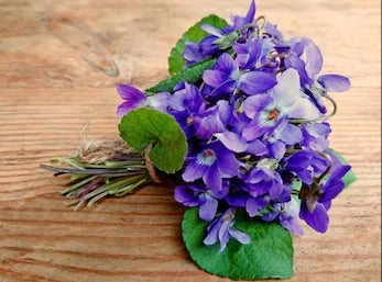 Violet & Honey Cough Syrup