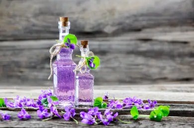Violet & Honey Cough Syrup