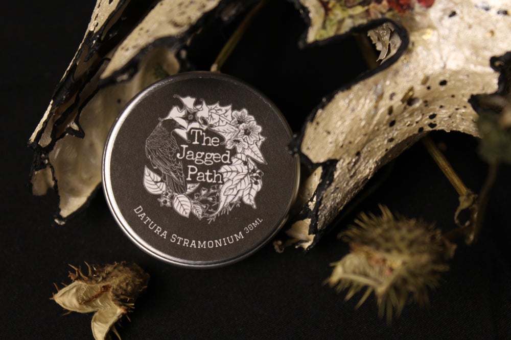 Datura Stramonium Flying Ointment