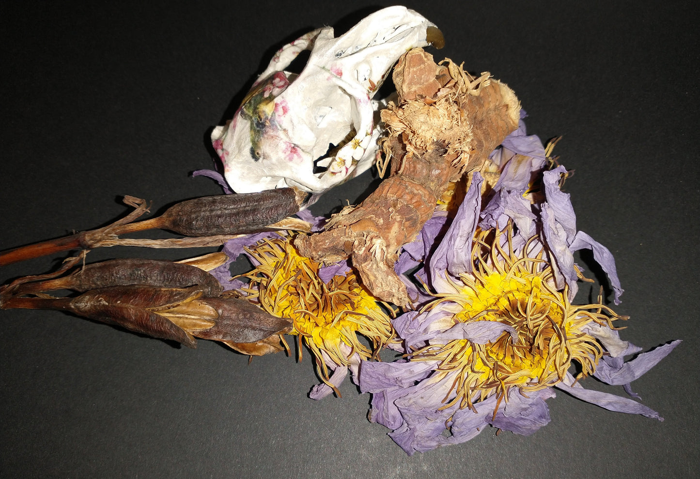 Mandrake and Blue Lotus Anointing/Massage/Body Oil