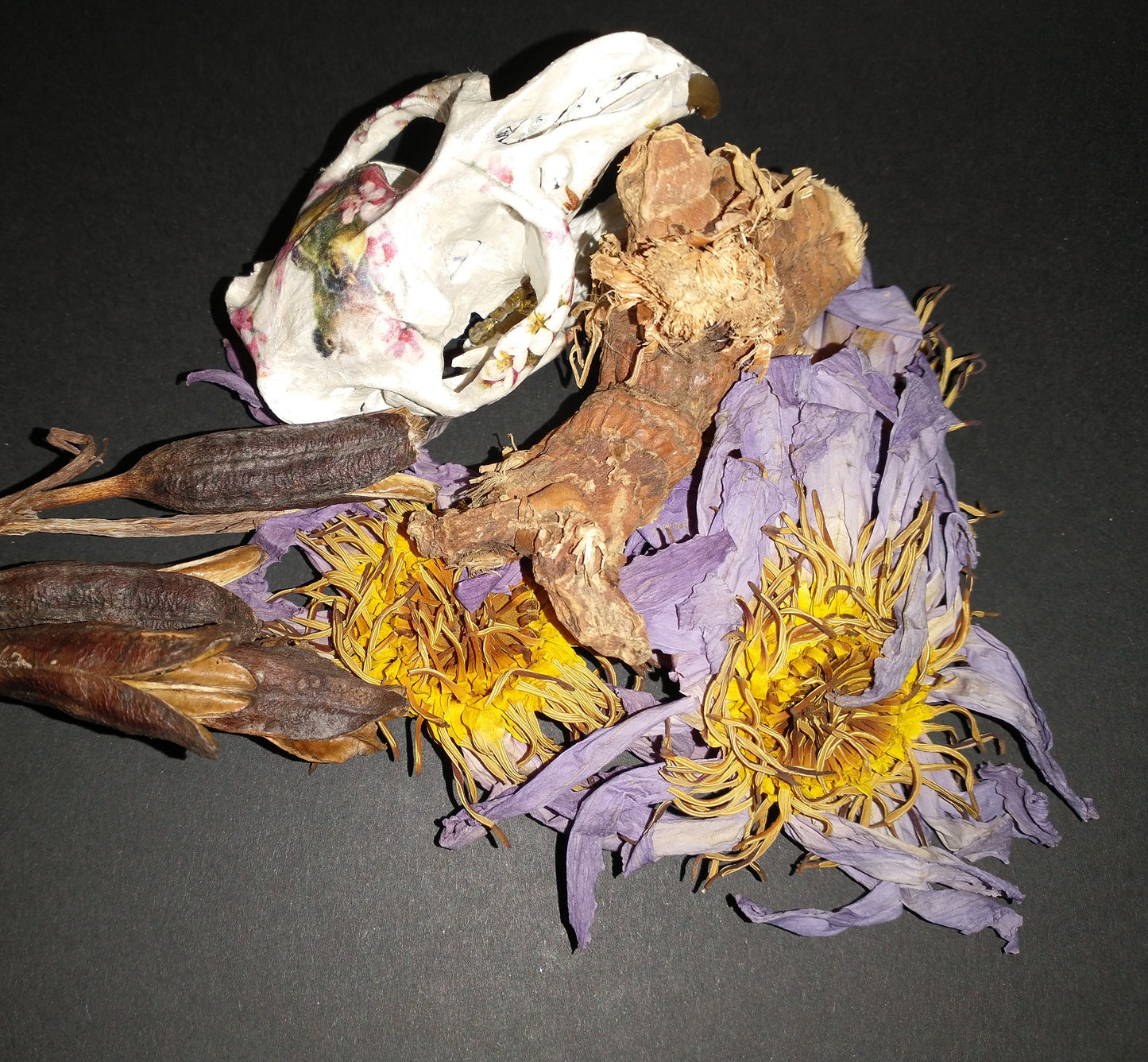 Mandrake and Blue Lotus Anointing/Massage/Body Oil