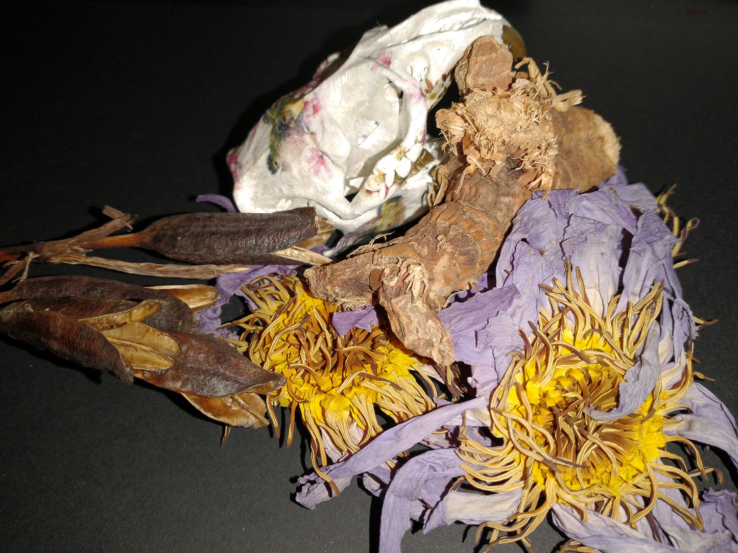 Mandrake and Blue Lotus Anointing/Massage/Body Oil