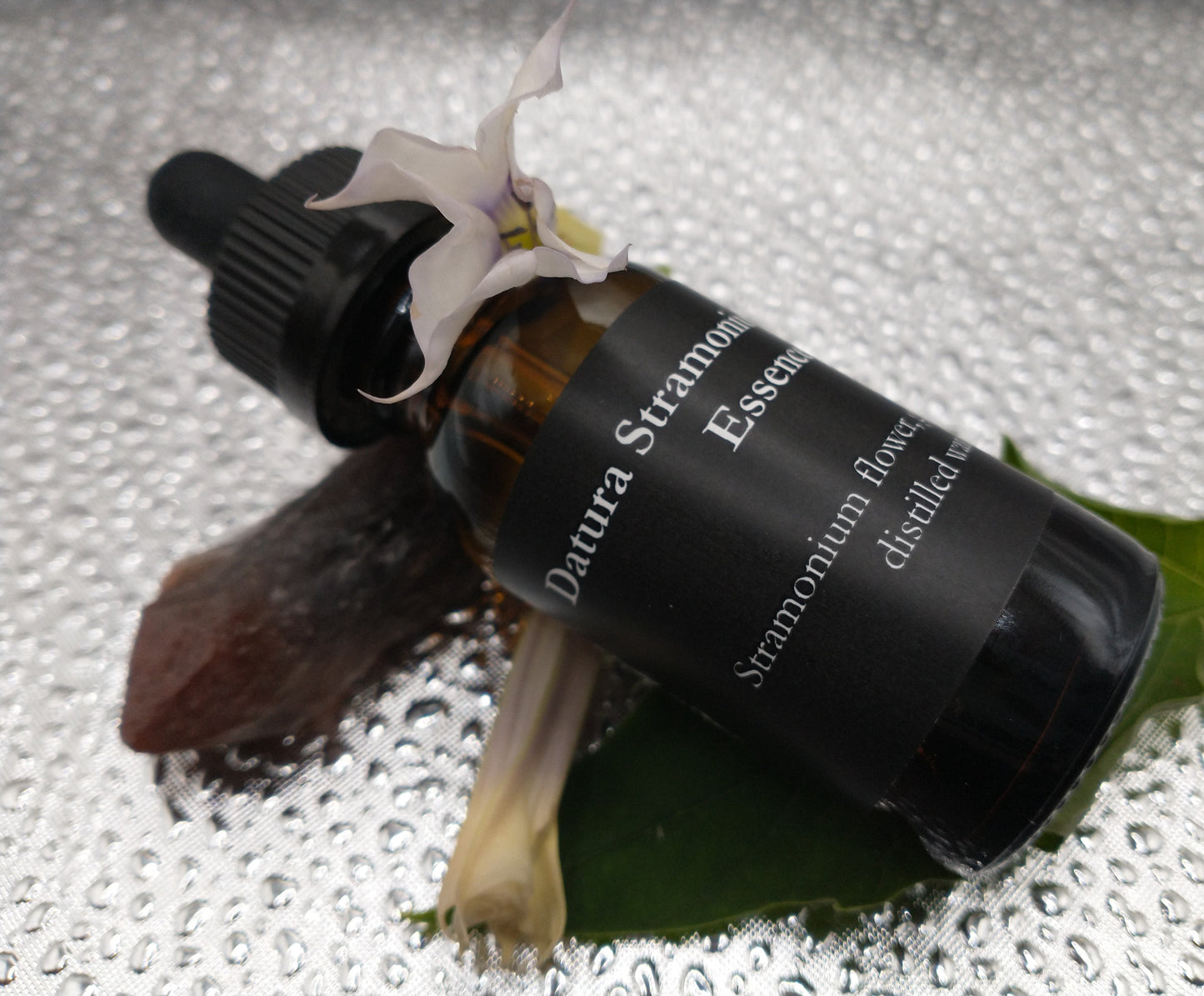 Datura Stramonium Flower Essence