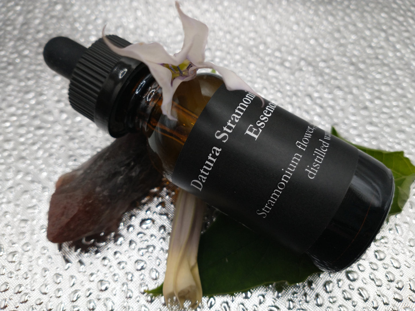 Datura Stramonium Flower Essence