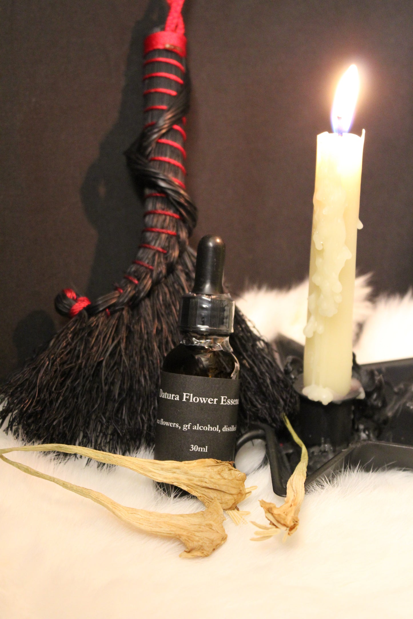 Datura Inoxia Flower Essence