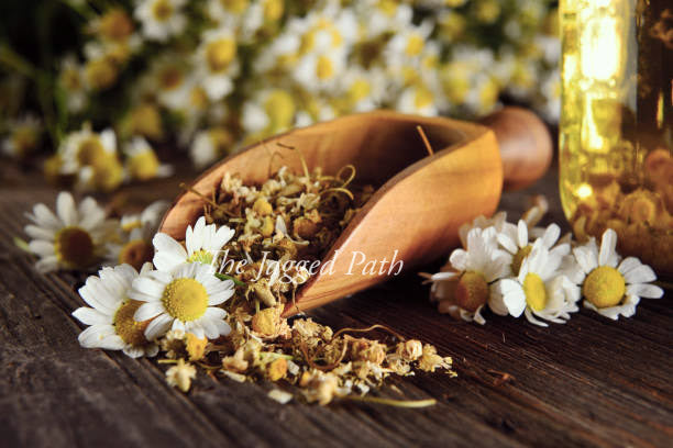Chamomile Tincture