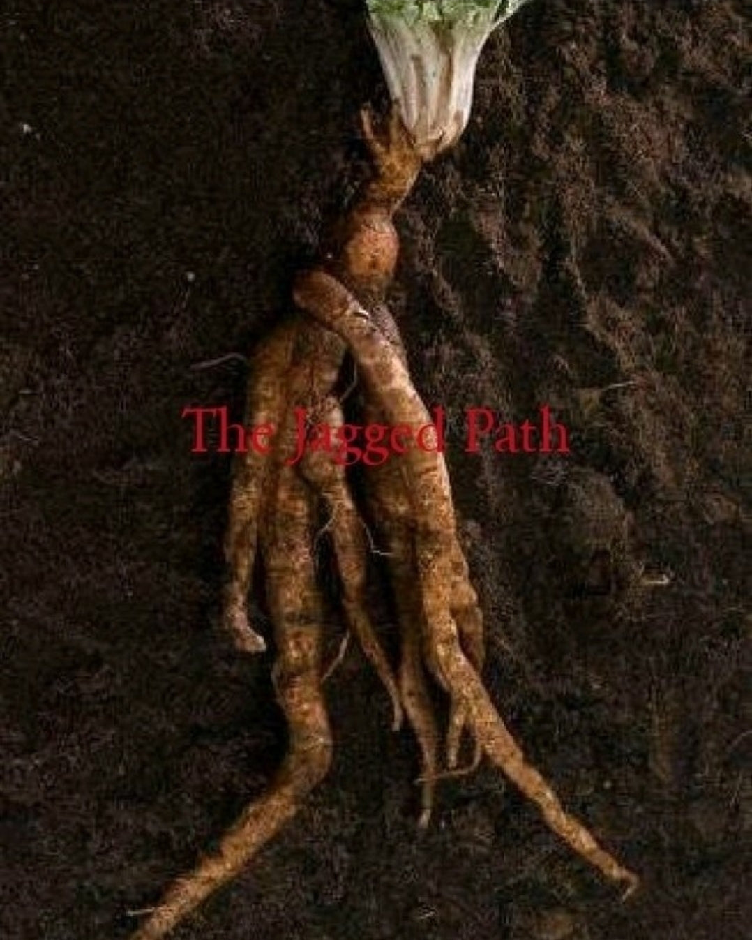 Baneful Connection Set