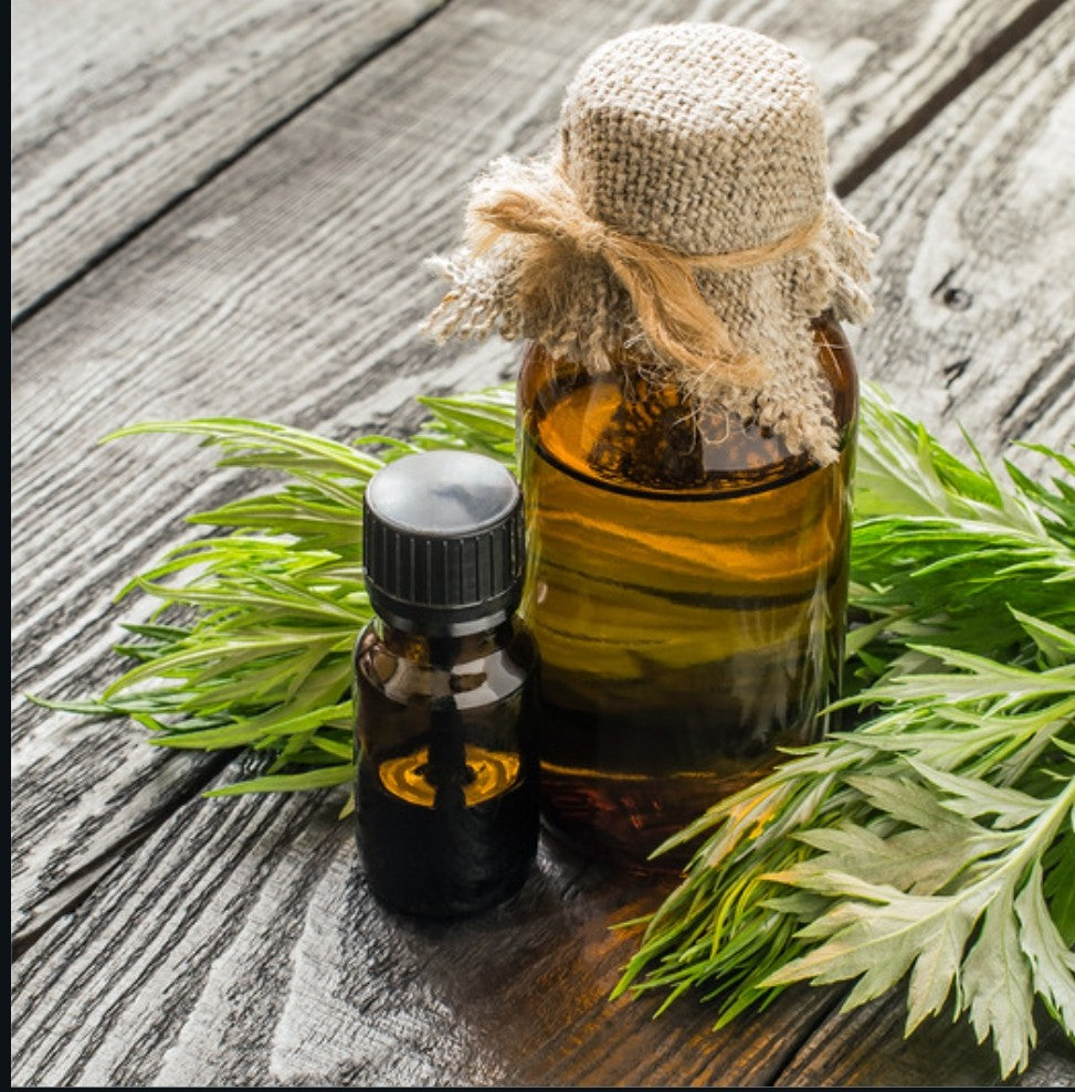 Mugwort Body Oil