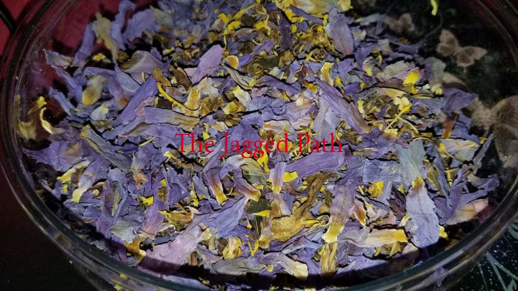 Blue Lotus Tincture