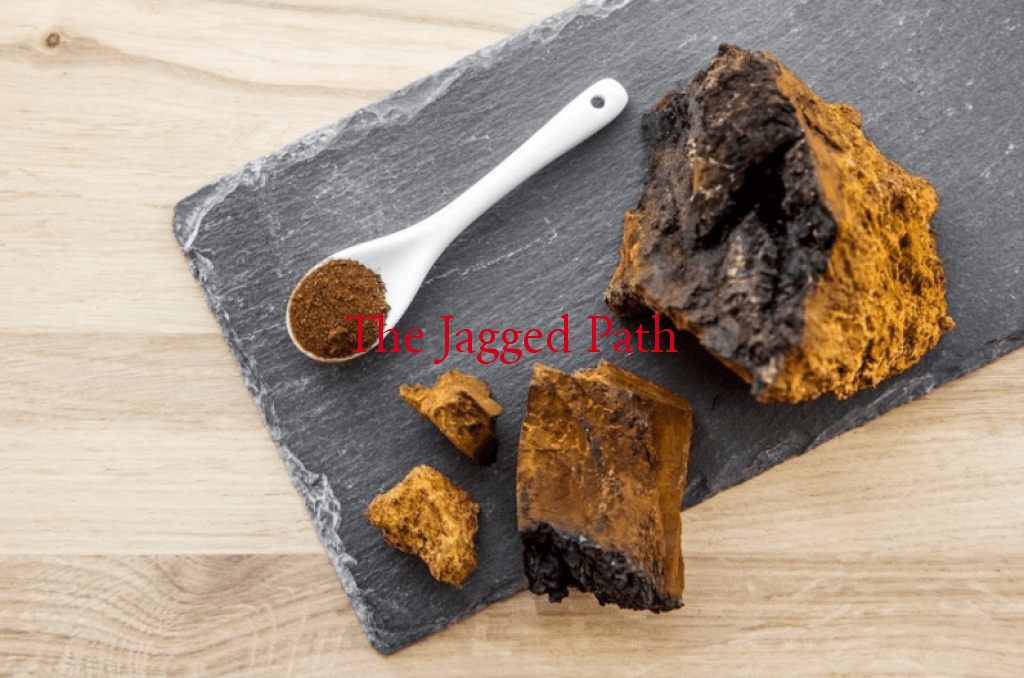 Chaga And Cacao Bean Elixir