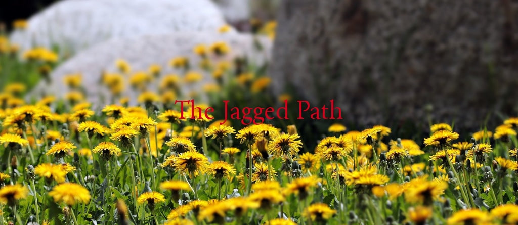 Dandelion Tincture
