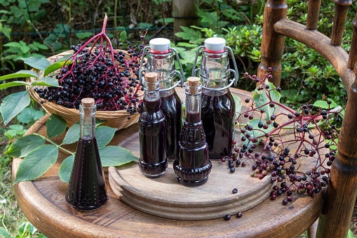 Elderberry Oxymel