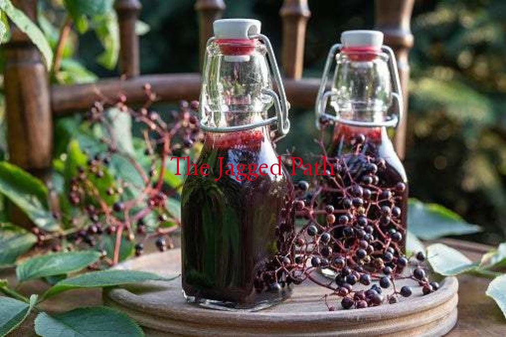 Elderberry Cough Syrup