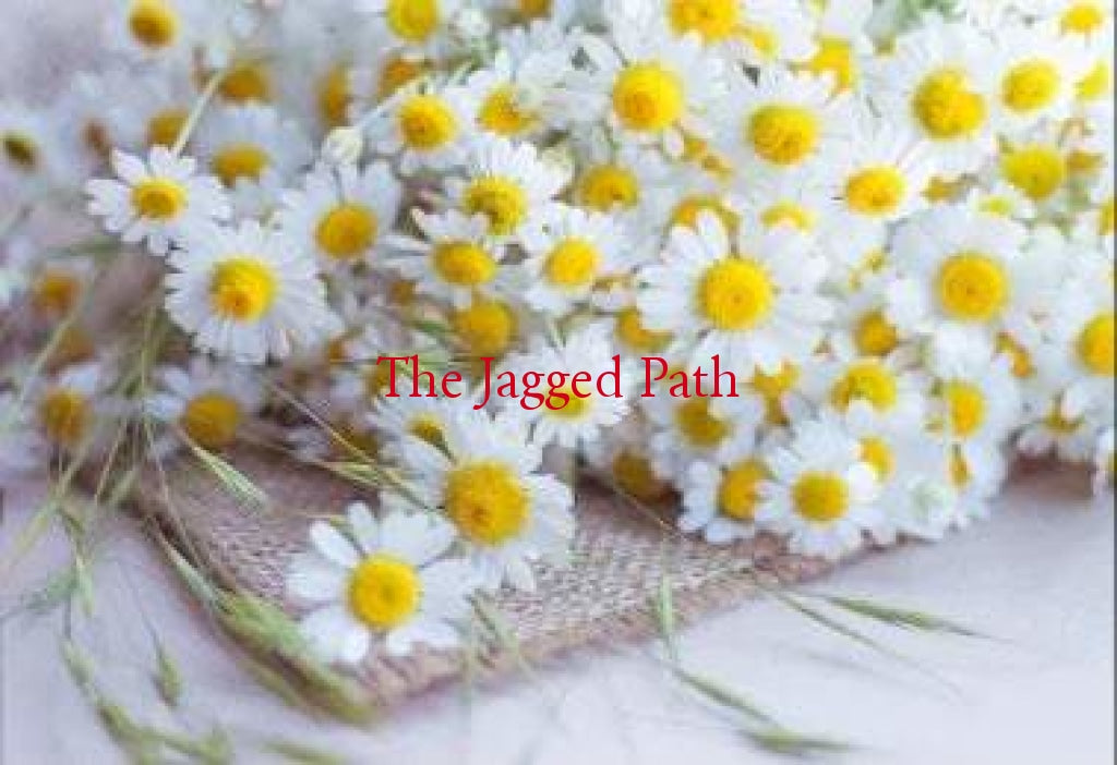Feverfew Tincture