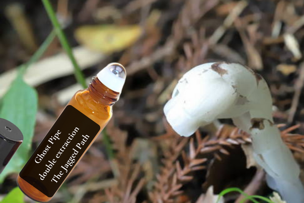 Ghost Pipe Healing Roll-on