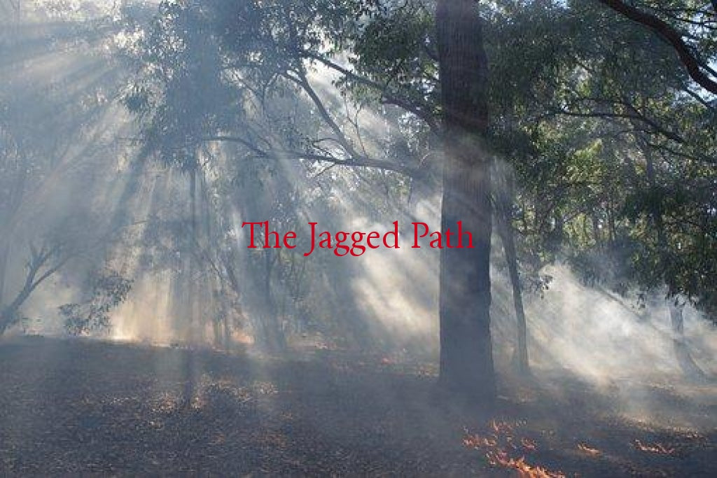 Morning Dew Wildfire Support Natural Health Remedy