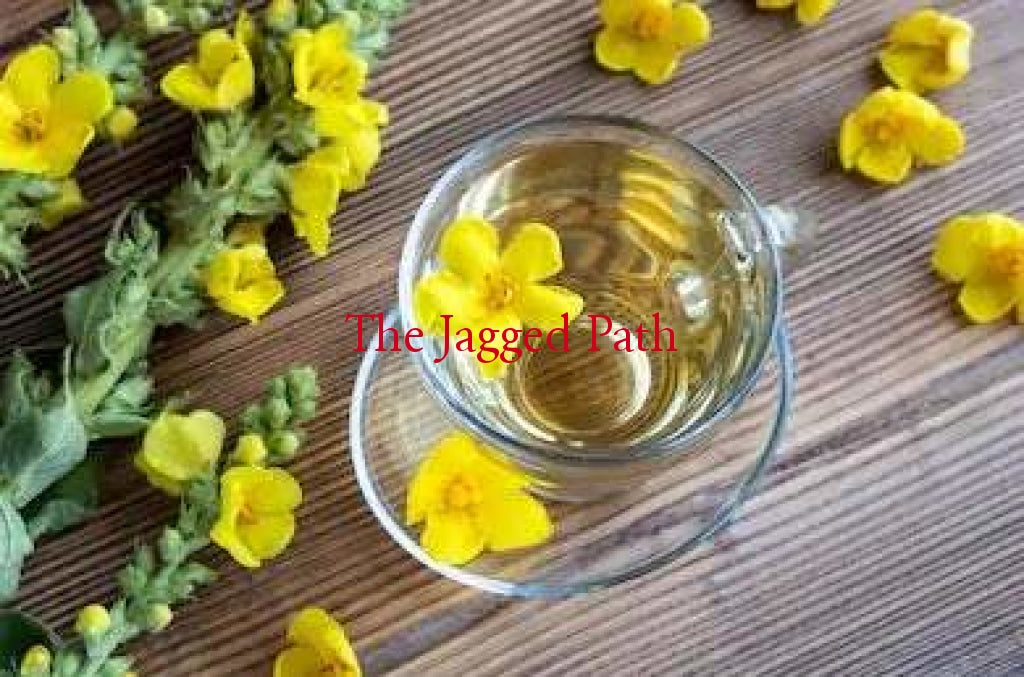 Mullein Tincture