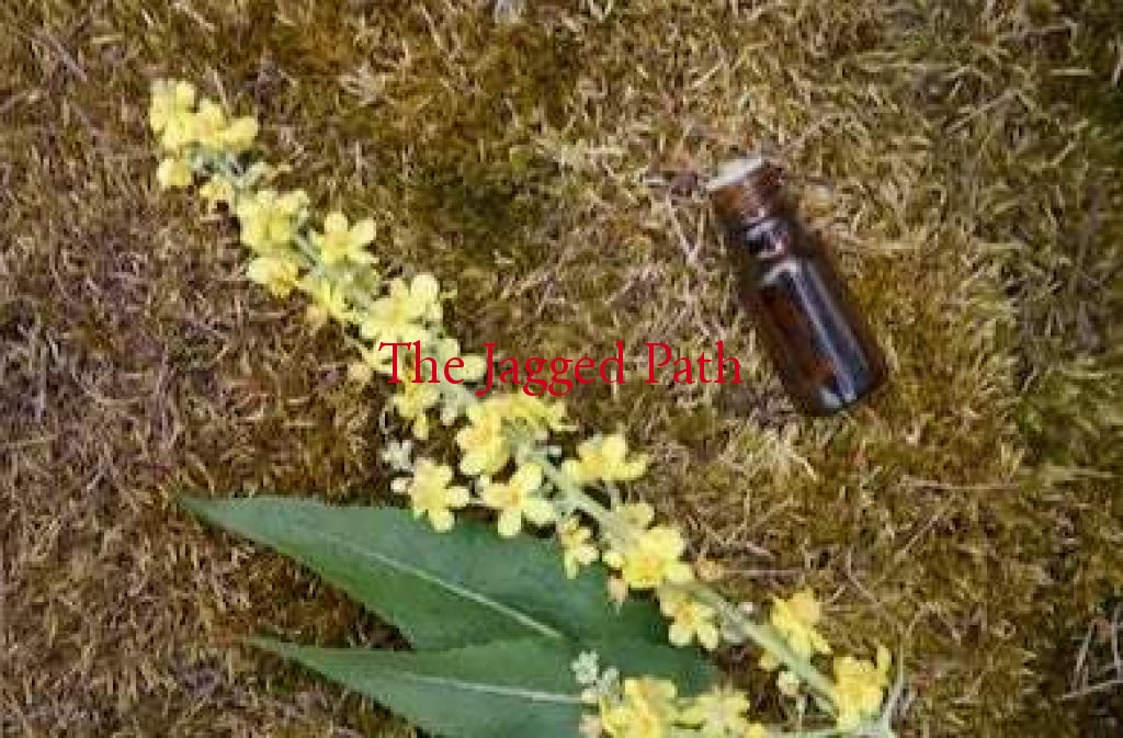 Mullein Tincture