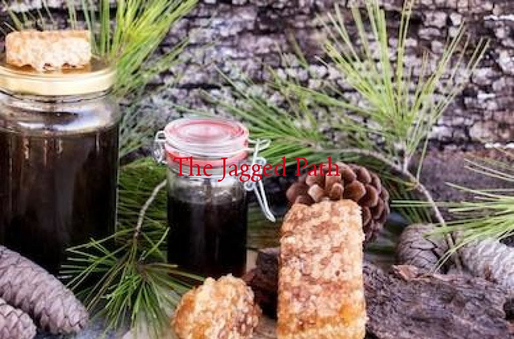 Pine Tonic
