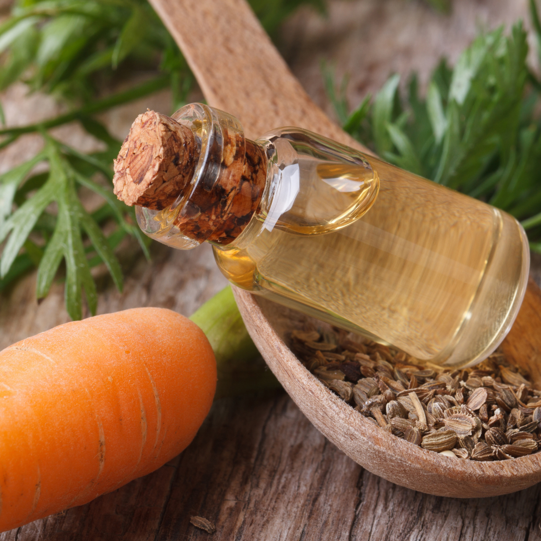 Carrot Seed & Rosehip Eye Serum