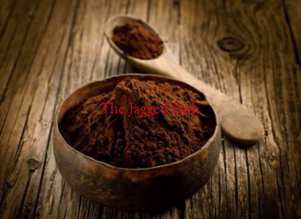 Reishi Plus Elixir