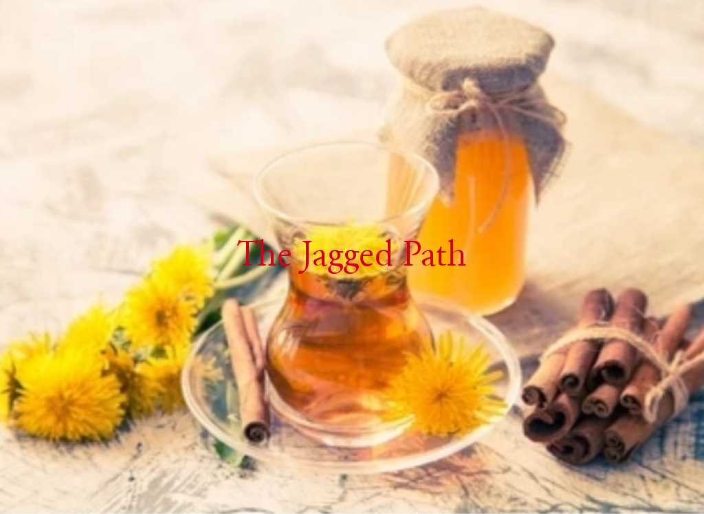 Reishi Plus Elixir