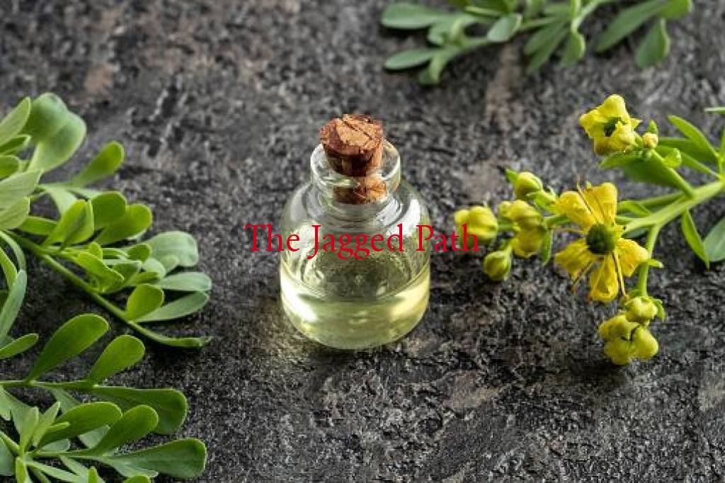 Rue Water (Ruta Graveolens) Cleansing