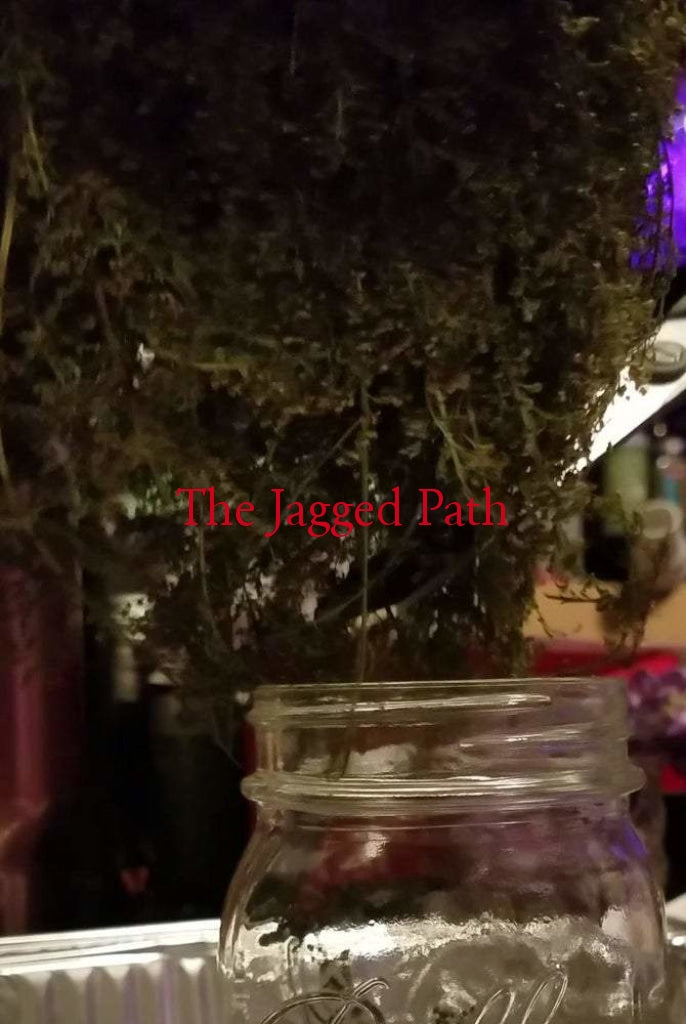Sweet Annie Tincture