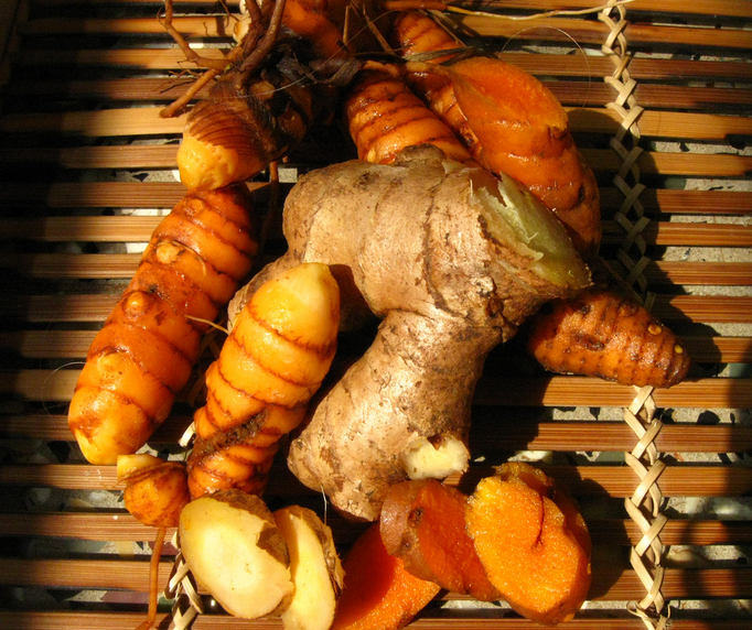 Ginger & Turmeric Digestive Bitters