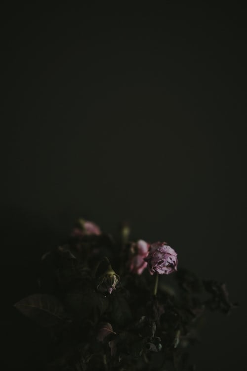 Witchcraft & Necromancy Flying Ointment