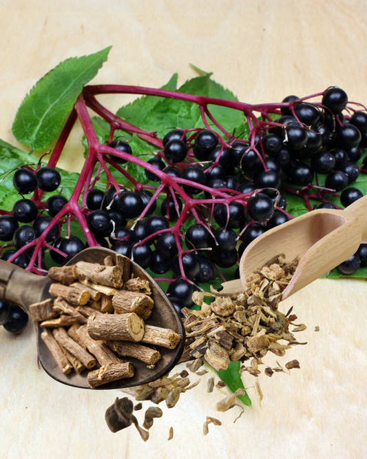 Immunity Igniter Tincture
