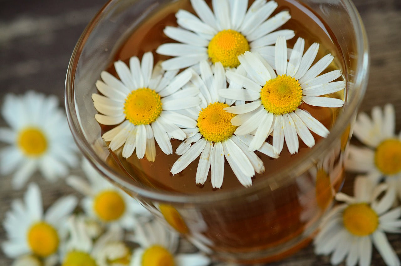 Chamomile Honey Face Wash
