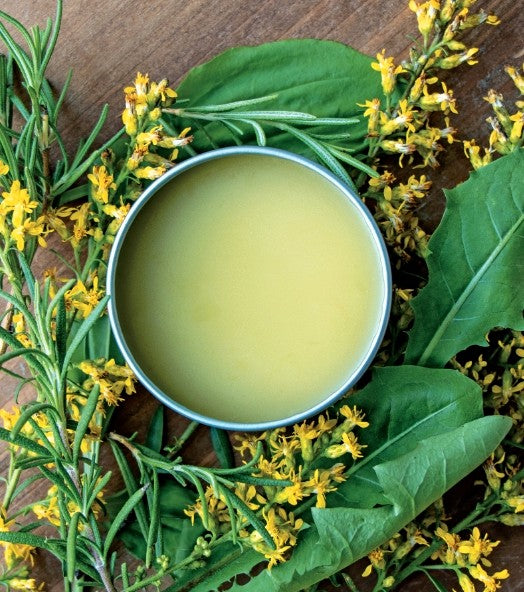 Muscle Aches Salve