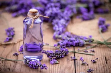 Lavender tincture