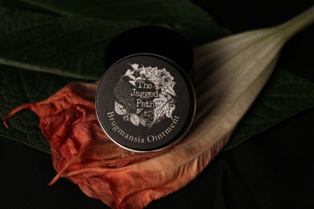 Brugmansia Flying ointment